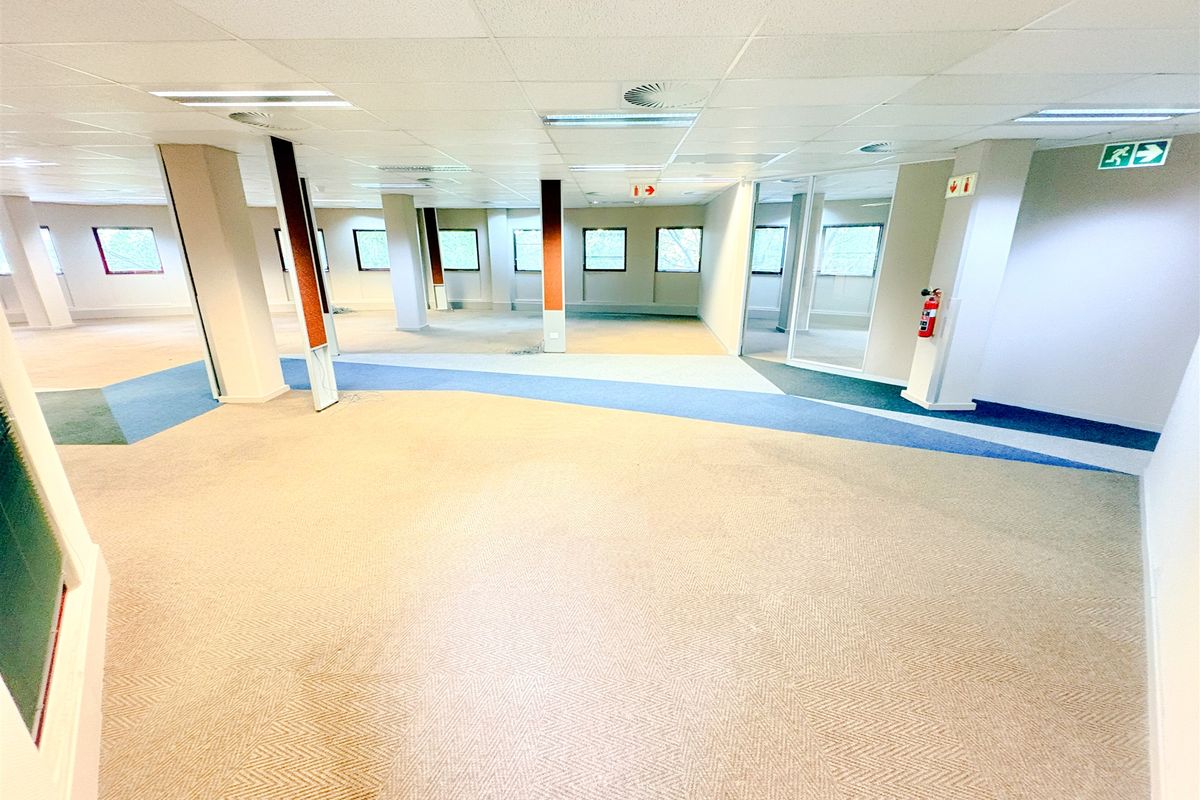 1103m2 Office space to let in Parktown - Photo 3