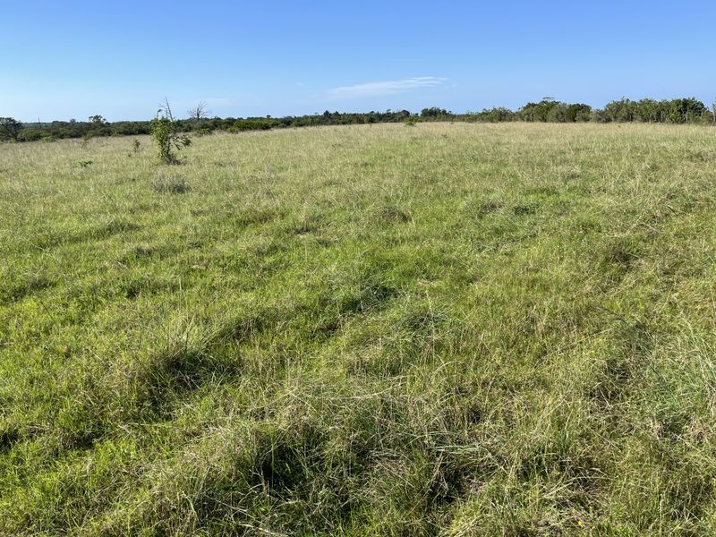 Cattle farm in Bathurst - Photo 10