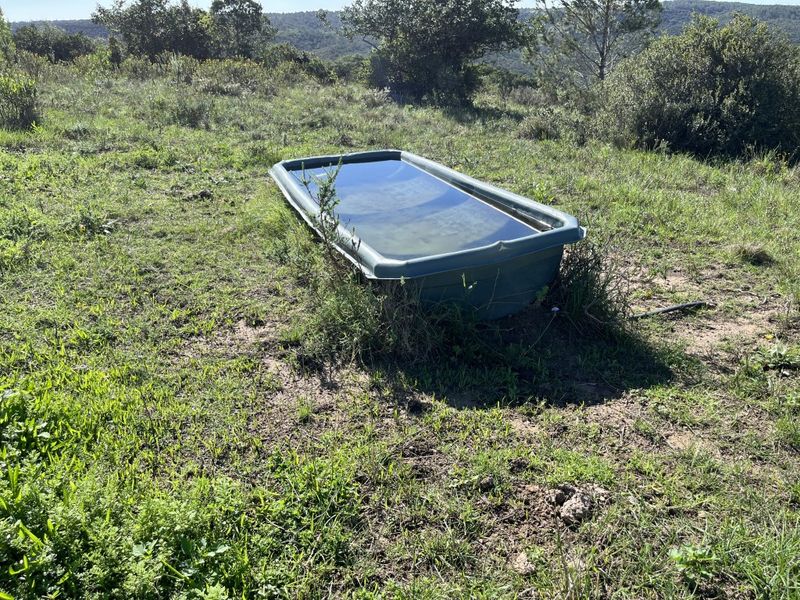 Cattle farm in Bathurst - Photo 9