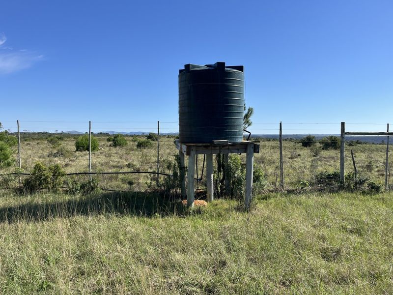 Cattle farm in Bathurst - Photo 8