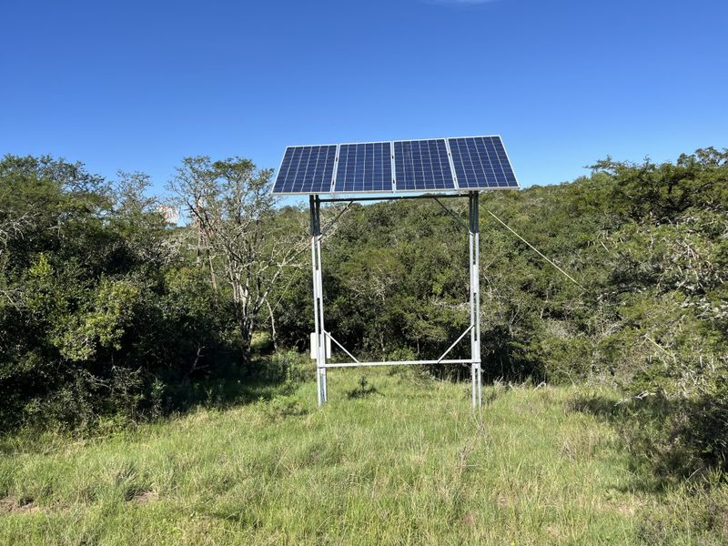 Cattle farm in Bathurst - Photo 7