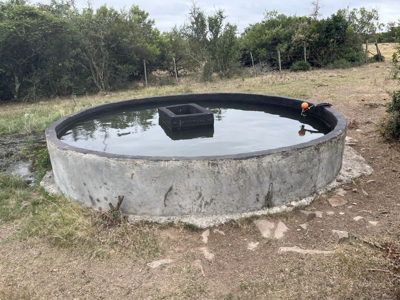 Cattle farm in Bathurst - Photo 6