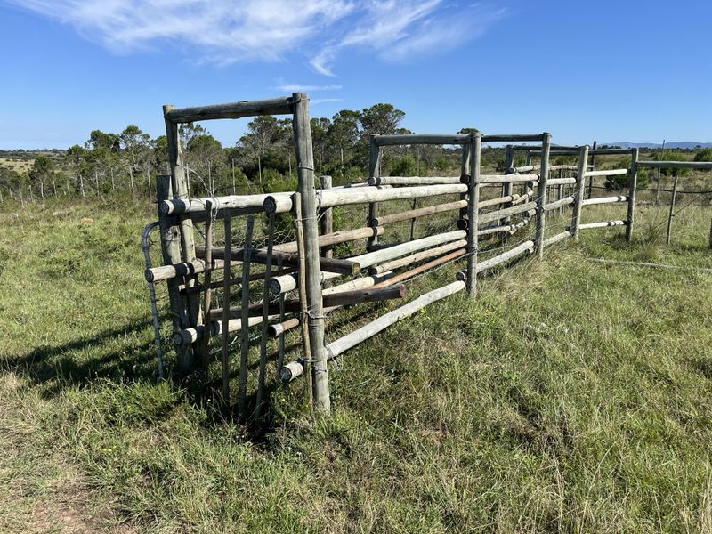 Cattle farm in Bathurst - Photo 4