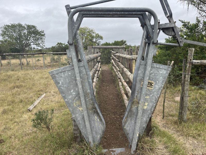 Cattle farm in Bathurst - Photo 3
