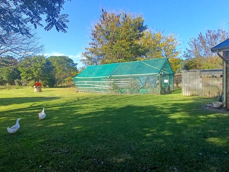 Executive style smallholding for sale in Ingogo - Photo 7