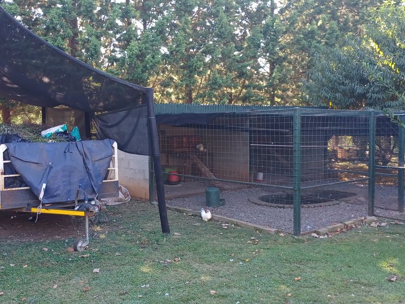 Executive style smallholding for sale in Ingogo - Photo 10