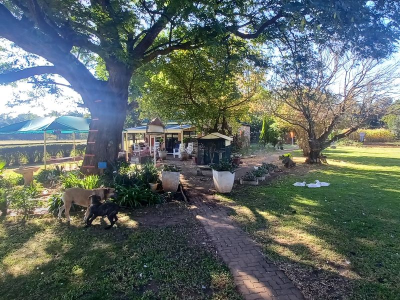Executive style smallholding for sale in Ingogo - Photo 6