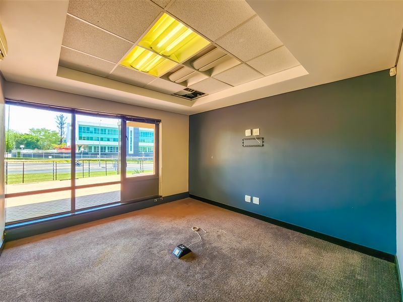 An empty office space featuring a suspended ceiling with recessed lighting, large windows providing natural light, and carpeted flooring.