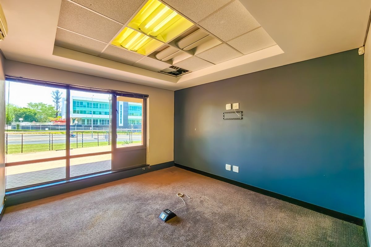 An empty office space featuring a suspended ceiling with recessed lighting, large windows providing natural light, and carpeted flooring.
