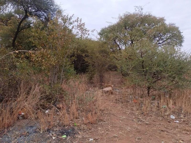 Mogwase! Excellent business vacant stand available now! - Photo 5