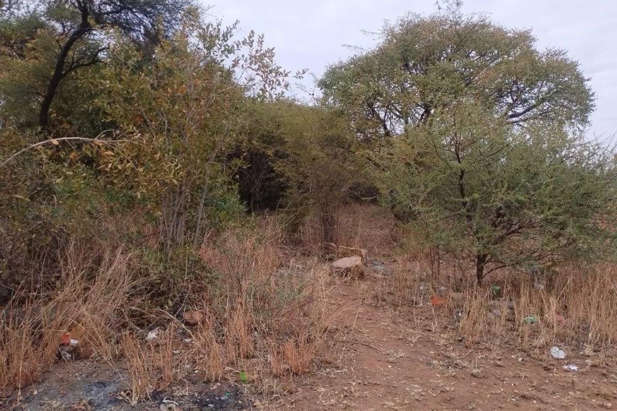 Mogwase! Excellent business vacant stand available now! - Photo 5