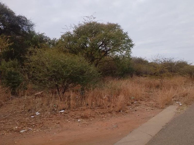 Mogwase! Excellent business vacant stand available now! - Photo 8