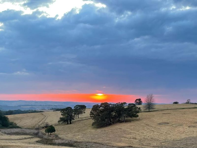 KZN MIDLANDS :  89ha  LIVESTOCK FARM  WITH WELL DEVELOPED FEEDLOT FACILITIES - Photo 4