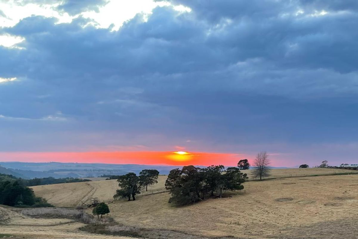 KZN MIDLANDS :  89ha  LIVESTOCK FARM  WITH WELL DEVELOPED FEEDLOT FACILITIES - Photo 4