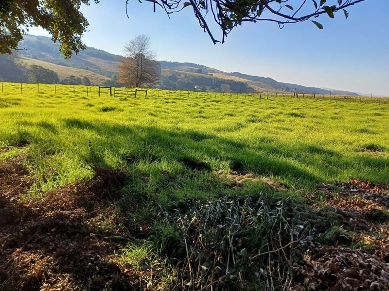 KZN MIDLANDS :  89ha  LIVESTOCK FARM  WITH WELL DEVELOPED FEEDLOT FACILITIES - Photo 9