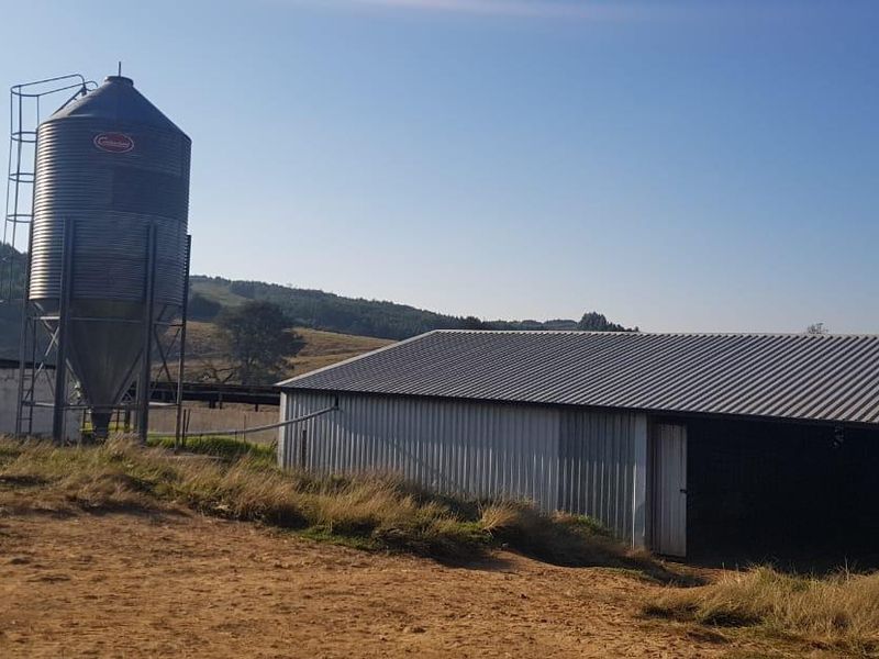 KZN MIDLANDS :  89ha  LIVESTOCK FARM  WITH WELL DEVELOPED FEEDLOT FACILITIES - Photo 7