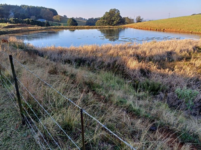 KZN MIDLANDS :  89ha  LIVESTOCK FARM  WITH WELL DEVELOPED FEEDLOT FACILITIES - Photo 8