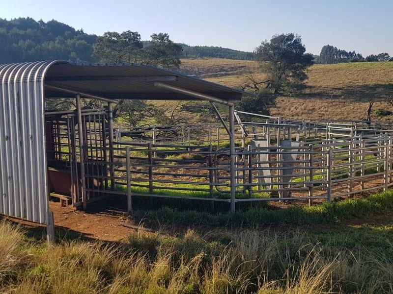 KZN MIDLANDS :  89ha  LIVESTOCK FARM  WITH WELL DEVELOPED FEEDLOT FACILITIES - Photo 6