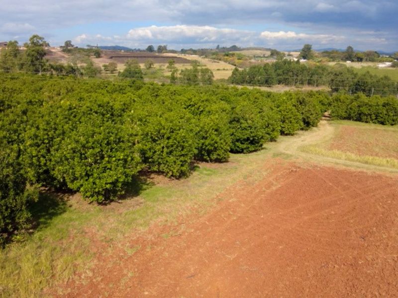 Harcourts Boet Nothnagel is pleased to present this property to our esteemed clients. - Photo 4