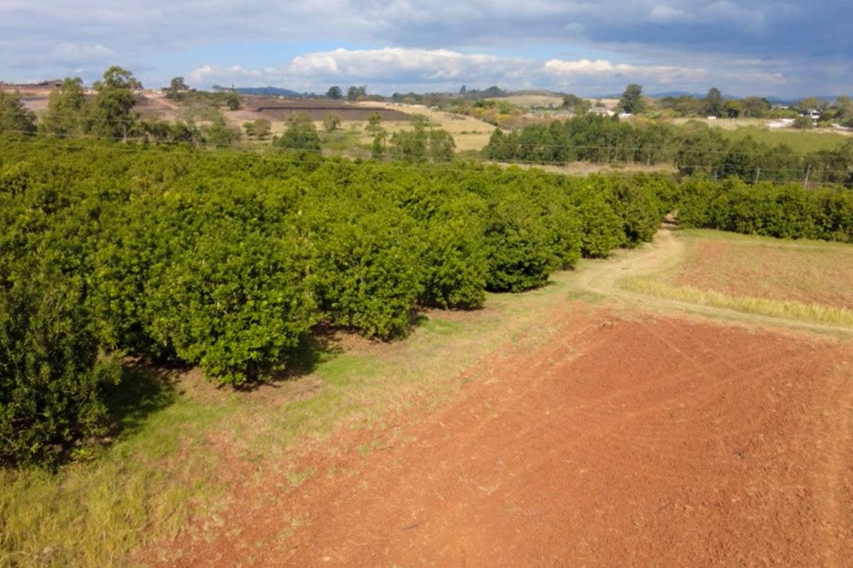 Harcourts Boet Nothnagel is pleased to present this property to our esteemed clients. - Photo 5