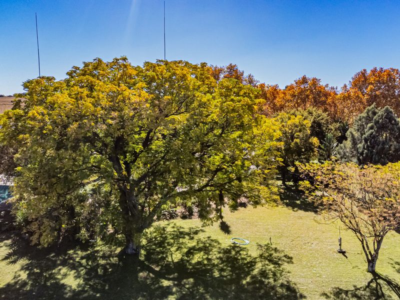 12.8 Ha Prime Development Land | Adjacent to Tanganani | Income-Generating Lodge Included - Photo 8