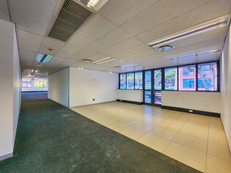 Spacious, vacant office area featuring a mix of tiled and carpeted flooring, suspended ceilings with integrated lighting, and large windows providing natural light.