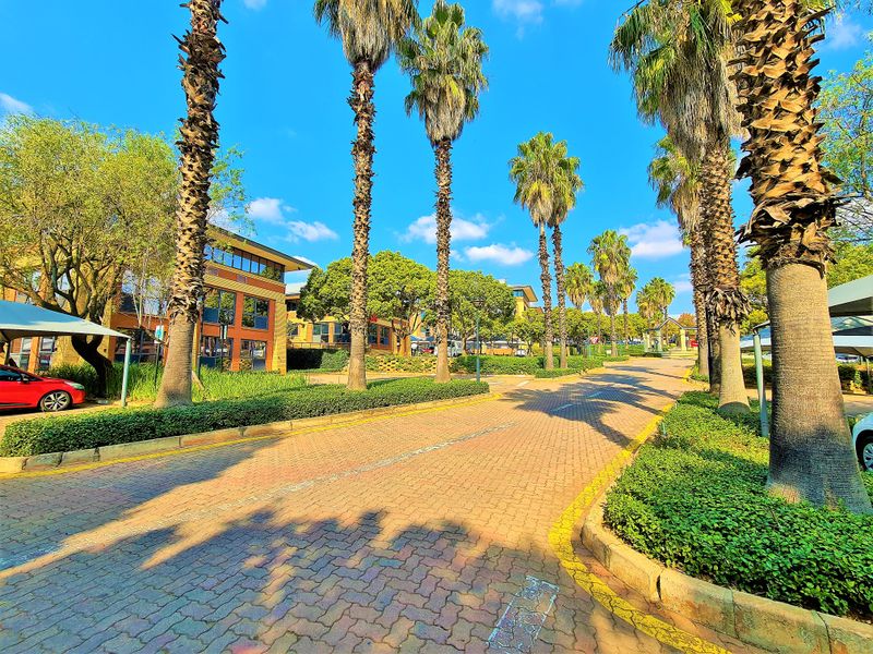A well-maintained office park entrance featuring a paved driveway lined with mature palm trees and landscaped garden beds.