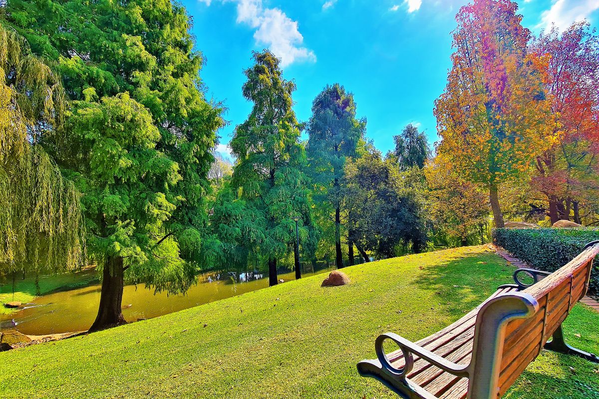 A well-maintained garden area featuring a lush green lawn, mature trees, and a scenic water feature, providing a tranquil outdoor environment.