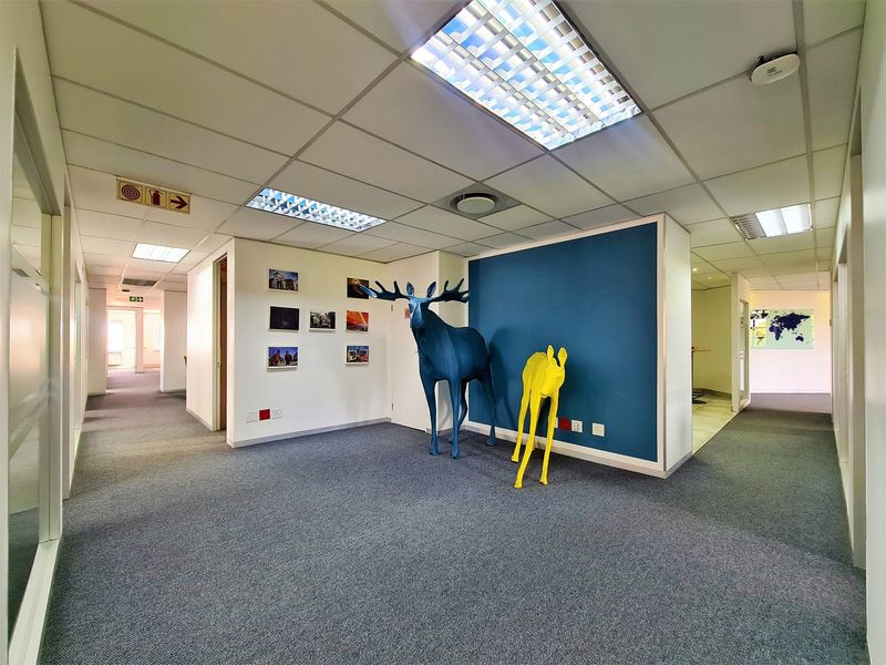 226m2 Modern Office to Let in Fourways Golf Park - Photo 9