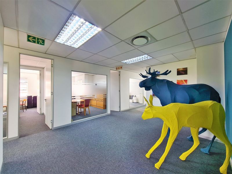 226m2 Modern Office to Let in Fourways Golf Park - Photo 8