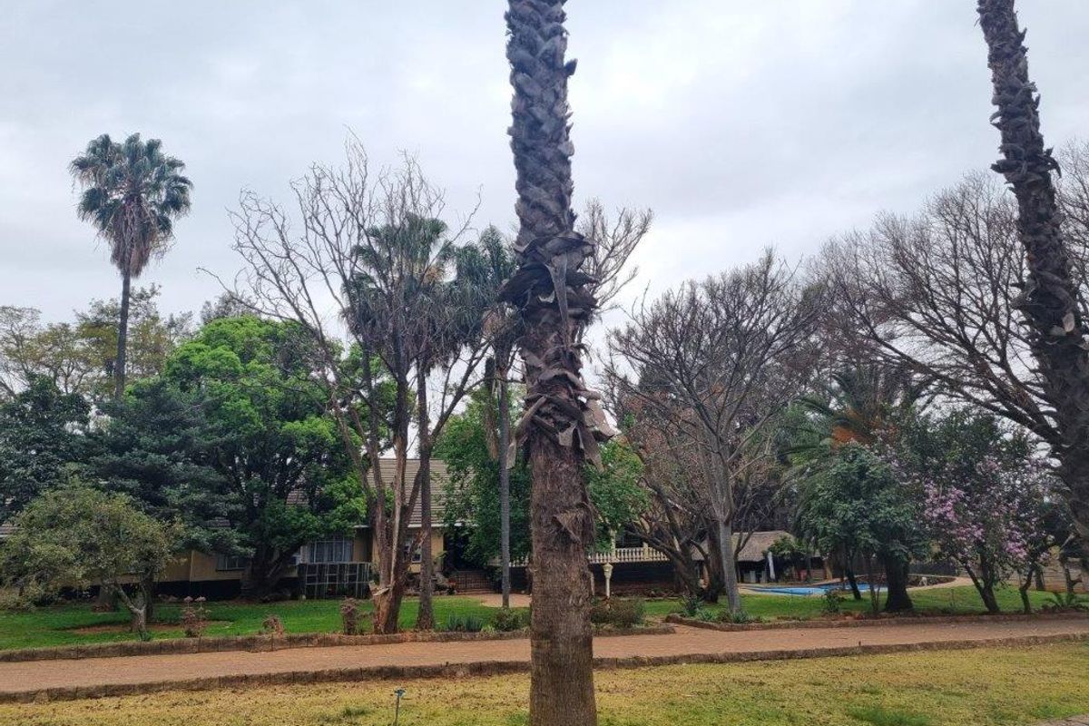 Prime Business Spot! Rustenburg R24! - Photo 4