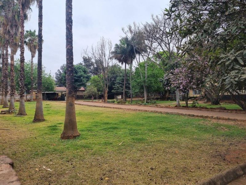 A spacious, well-established garden featuring mature palm trees, expansive lawn areas, and a paved pathway winding through the property grounds.