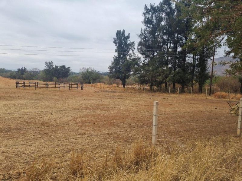 A view of a large, open farm paddock featuring established trees, concrete post fencing, and a wooden paddock enclosure.