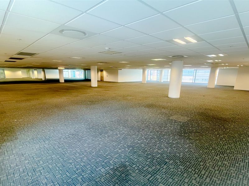 A large, open-plan office space featuring a suspended ceiling, recessed lighting, structural columns, and expansive windows, providing a versatile and bright work environment.
