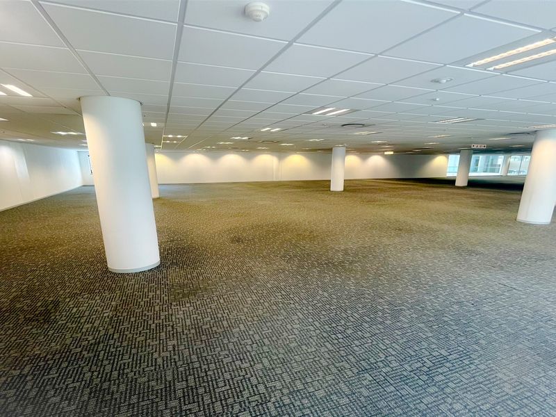 A spacious, open-plan office area featuring a suspended ceiling, recessed lighting, and neutral carpeting, providing a versatile workspace for various business configurations.