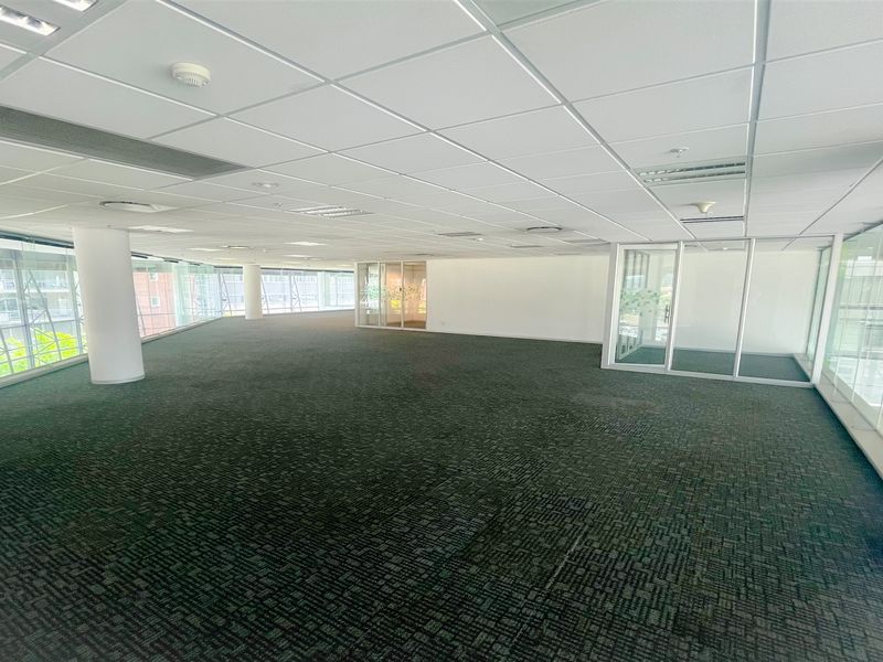 Spacious open-plan office area featuring suspended ceilings, recessed lighting, carpeted flooring, and extensive glass partitioning with large windows providing natural light.
