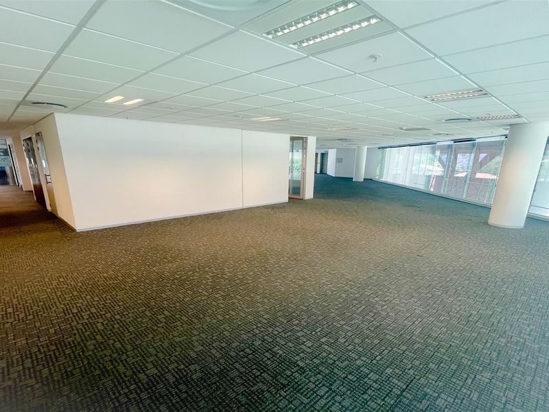 Spacious open-plan office area featuring suspended ceilings, recessed lighting, carpeted flooring, and large windows providing ample natural light.