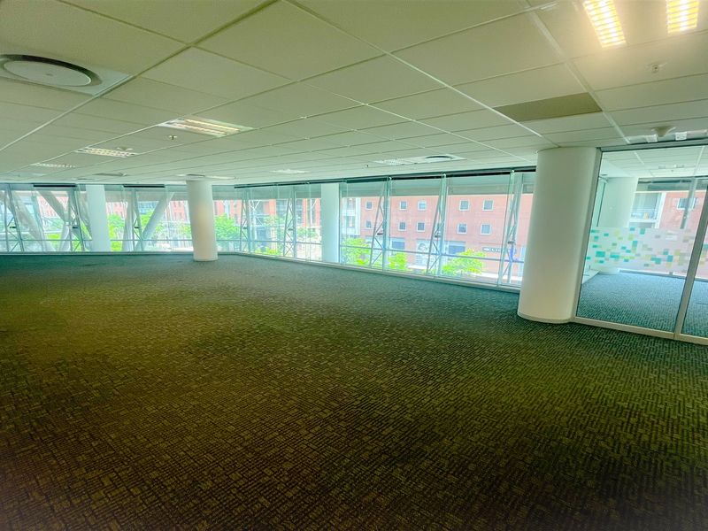 Spacious open-plan office area featuring floor-to-ceiling glass windows, suspended ceilings with recessed lighting, and carpeted flooring.