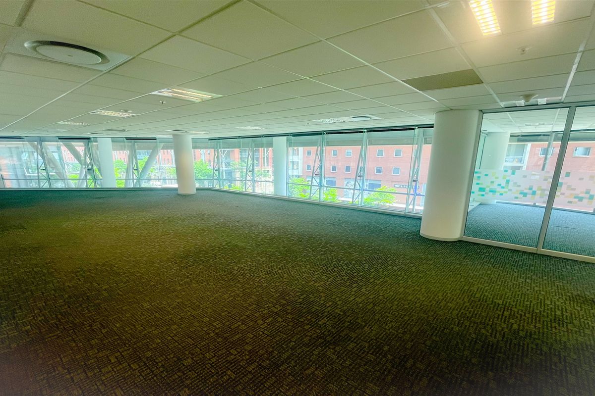 Spacious open-plan office area featuring floor-to-ceiling glass windows, suspended ceilings with recessed lighting, and carpeted flooring.