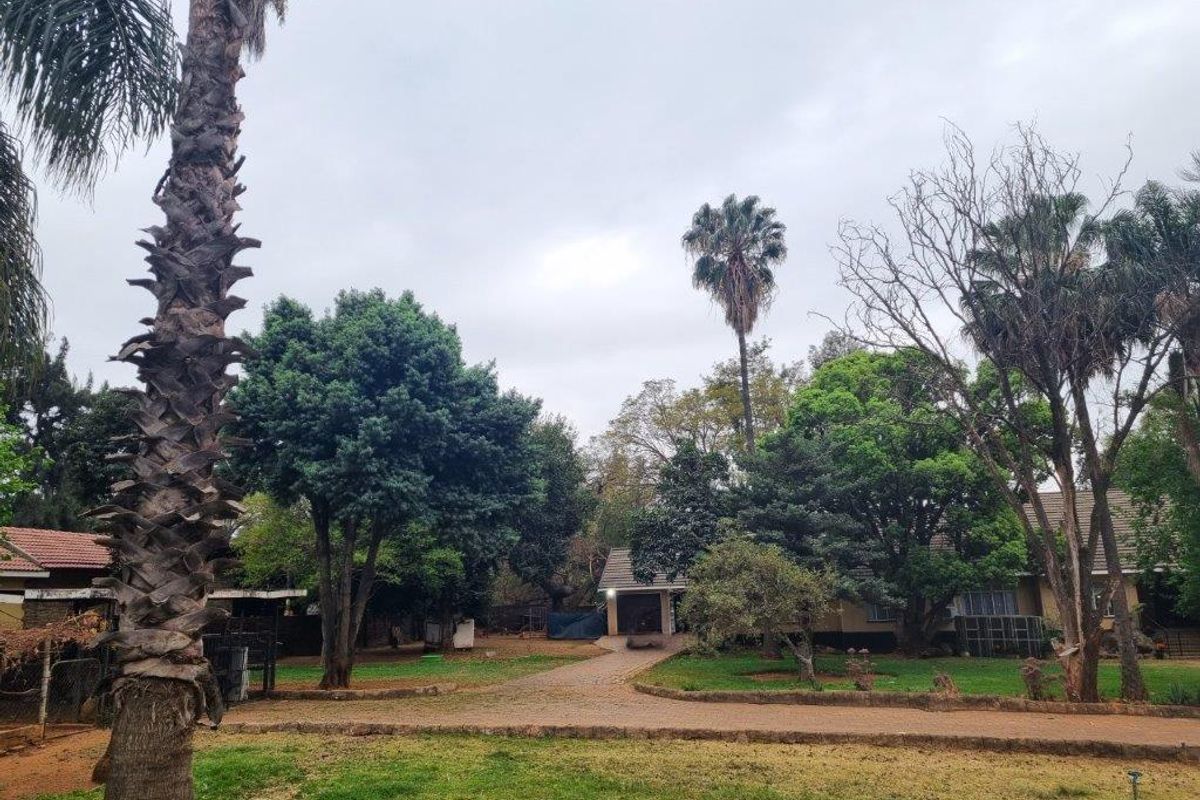 A view of the rear garden area featuring mature trees, a paved driveway, and established landscaping surrounding the property.