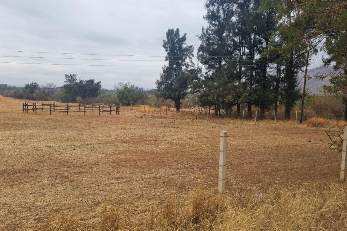 A view of a large, open farm paddock featuring established trees, concrete post fencing, and a wooden paddock enclosure.