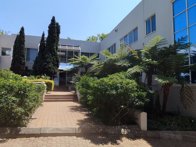 Stand Alone Office Building to Lease or For Sale in Parktown - Photo 2