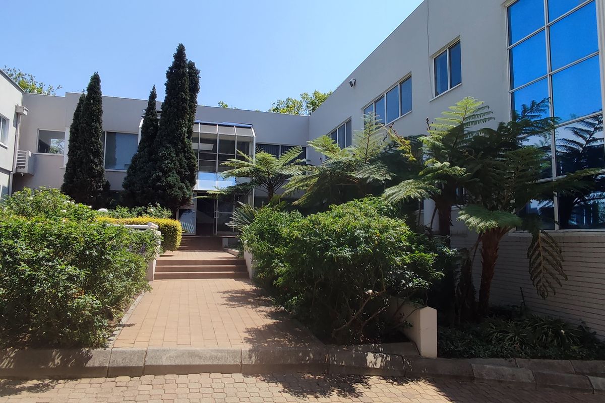 Stand Alone Office Building to Lease or For Sale in Parktown - Photo 2