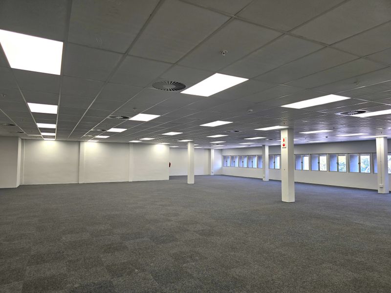 A spacious, open-plan office area featuring a suspended ceiling with recessed lighting, carpeted flooring, and large windows providing natural light.