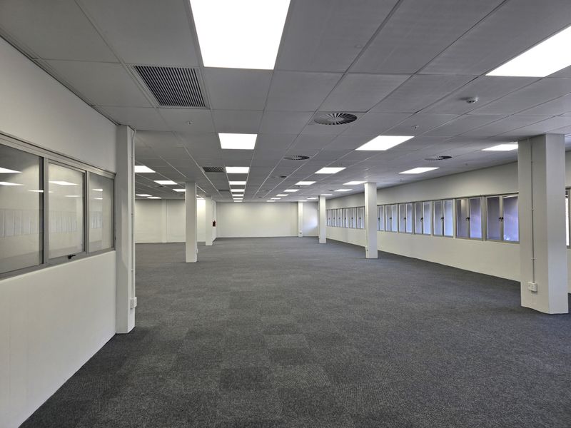 A spacious, open-plan office area featuring a suspended ceiling with recessed lighting, carpeted flooring, and large windows providing ample natural light.