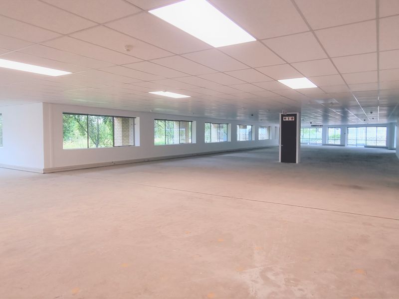 Office space to let in a Free-Standing building in Kelvin Drive Gallo Manor - Photo 7