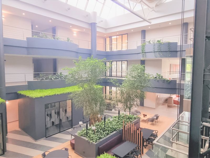 Office space to let in a Free-Standing building in Kelvin Drive Gallo Manor - Photo 3