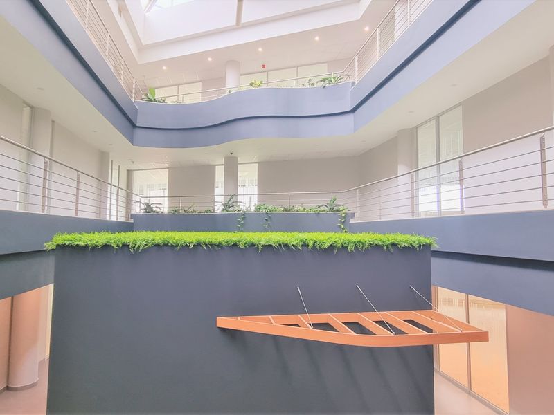 Office space to let in a Free-Standing building in Kelvin Drive Gallo Manor - Photo 9