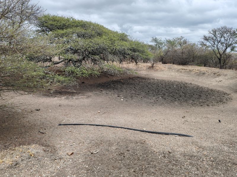 LIVESTOCK FARM IN BANDELIERKOP - Photo 9