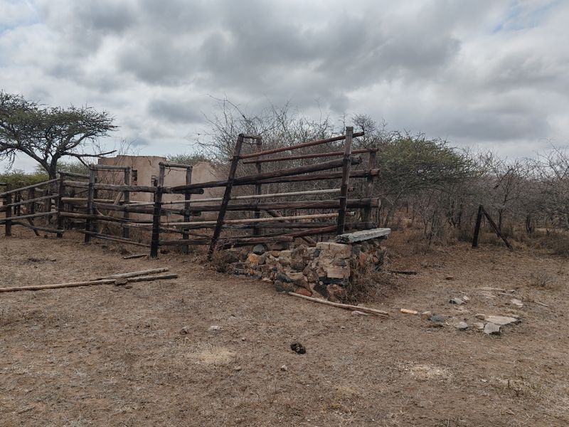 LIVESTOCK FARM IN BANDELIERKOP - Photo 8